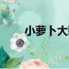 小蘿卜大戟（關于小蘿卜大戟簡介）