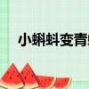 小蝌蚪變青蛙（關于小蝌蚪變青蛙簡介）