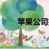 蘋果公司招聘崗位（蘋果公司招聘）