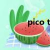 pico tts停止運行（pico tts）