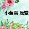 小藍雪 原變型（關于小藍雪 原變型簡介）