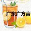 廣東廣方言館（關于廣東廣方言館介紹）