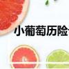 小葡萄歷險記（關于小葡萄歷險記簡介）