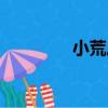 小荒莊（關于小荒莊簡介）
