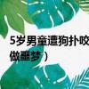 5歲男童遭狗撲咬整夜做噩夢怎么辦（5歲男童遭狗撲咬整夜做噩夢）