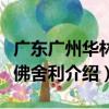 廣東廣州華林寺佛舍利（關于廣東廣州華林寺佛舍利介紹）