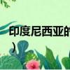 印度尼西亞的首都叫什么（印度尼西亞的首都）