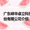 廣東峰華卓立科技股份有限公司（關于廣東峰華卓立科技股份有限公司介紹）