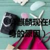 郭麒麟現在單身的原因 小說（郭麒麟現在單身的原因）