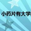 小藥片有大學問（關于小藥片有大學問簡介）