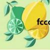 fcccwc敷設方式（fccc）