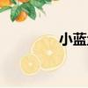 小藍魚（關于小藍魚簡介）
