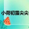 小荷初露尖尖角（關于小荷初露尖尖角簡介）