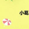 小葛莊（關于小葛莊簡介）