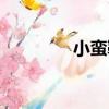 小蠻靴（關于小蠻靴簡介）