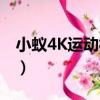 小蟻4K運動相機（關于小蟻4K運動相機簡介）