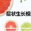 層狀生長模式（關于層狀生長模式簡介）