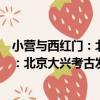 小營與西紅門：北京大興考古發掘報告（關于小營與西紅門：北京大興考古發掘報告簡介）