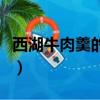 西湖牛肉羹的做法和配料（西湖牛肉羹的做法）