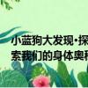 小藍狗大發現·探索我們的身體奧秘（關于小藍狗大發現·探索我們的身體奧秘簡介）