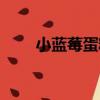 小藍莓蛋糕（關于小藍莓蛋糕簡介）