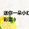 送你一朵小紅花彩蛋岳云鵬（送你一朵小紅花彩蛋）