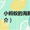小螞蟻的海豚鑰匙（關于小螞蟻的海豚鑰匙簡介）
