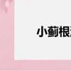 小薊根湯（關于小薊根湯簡介）