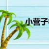小營子村（關于小營子村簡介）