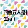 四舍五入是什么生肖打一肖（四舍五入是什么生肖）