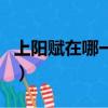 上陽賦在哪一個臺播出（上陽賦在哪個臺播出）