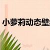 小蘿莉動態壁紙（關于小蘿莉動態壁紙簡介）