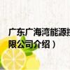 廣東廣海灣能源控股有限公司（關于廣東廣海灣能源控股有限公司介紹）
