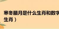 寒冬臘月是什么生肖和數字(寒冬臘月是什么生肖)