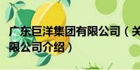 廣東巨洋集團有限公司(關于廣東巨洋集團有限公司介紹)