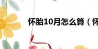 懷胎10月怎么算(懷胎10月)