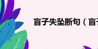 盲子失墜斷句(盲子失墜)