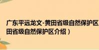 廣東平遠龍文-黃田省級自然保護區(關于廣東平遠龍文-黃田省級自然保護區介紹)