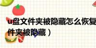u盤文件夾被隱藏怎么恢復正常win7(u盤文件夾被隱藏)