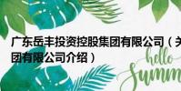 廣東岳豐投資控股集團有限公司(關于廣東岳豐投資控股集團有限公司介紹)
