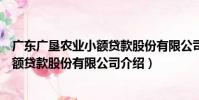 廣東廣墾農業小額貸款股份有限公司(關于廣東廣墾農業小額貸款股份有限公司介紹)