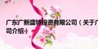 廣東廣新盛特投資有限公司(關于廣東廣新盛特投資有限公司介紹)