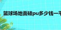 籃球場地面硅pu多少錢一平方(籃球場地)