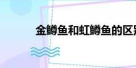 金鱒魚和虹鱒魚的區別(金鱒)