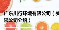 廣東川行環境有限公司(關于廣東川行環境有限公司介紹)