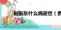 趙振東什么病逝世(費振剛去世)