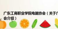 廣東工商職業學院電腦協會(關于廣東工商職業學院電腦協會介紹)