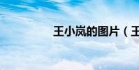 王小嵐的圖片(王小嵐)