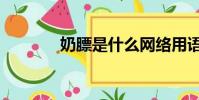 奶膘是什么網絡用語(奶膘)