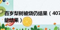 百歲梨樹被燒仍結果(407歲梨樹被燒空心仍能結果)